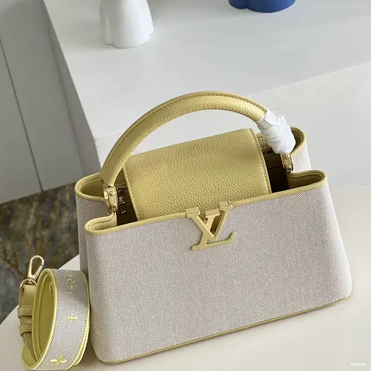2207YA0088 Bag LV 0810